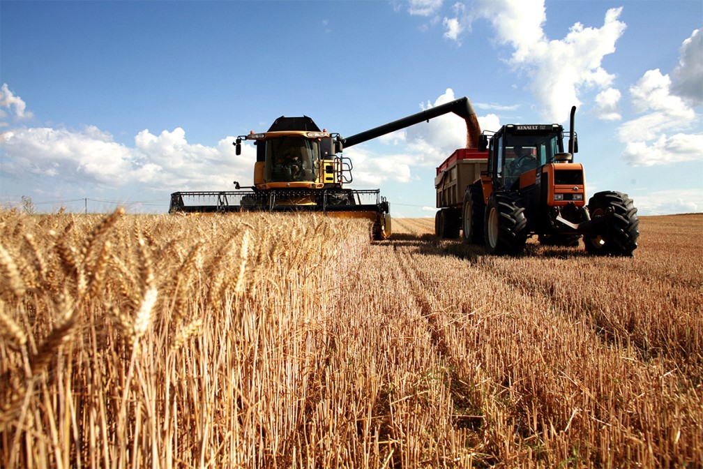 ECONOMIA AGRICULTURA economia agricultura: