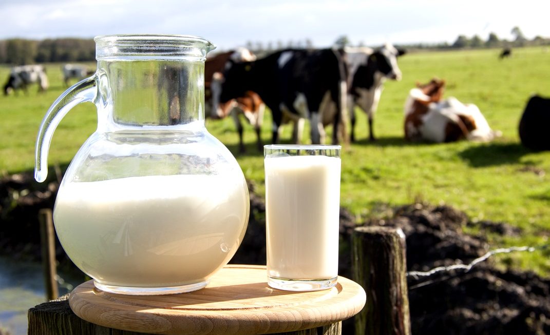 Aveiro: Agrovouga arranca com conferência sobre sustentabilidade no sector leiteiro - Agricultura e Mar Actual