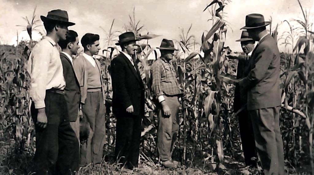 Centen Rio Do Minist Rio Da Agricultura Em V Deo J Viu