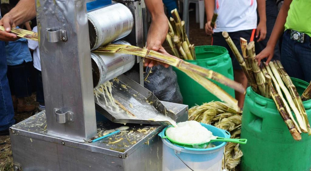 O Açúcar E Suas Técnicas De Produção EDUCA